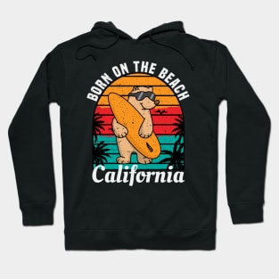 BORN ON THE BEACH California Retro Vintage Sunset Hoodie